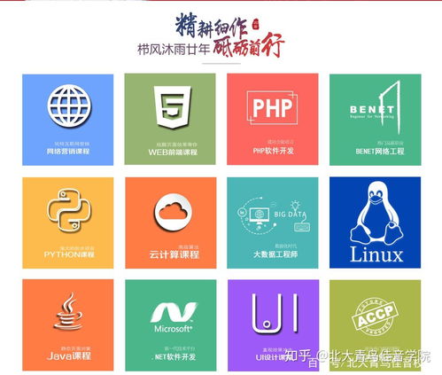 北大青鳥(niǎo)基礎(chǔ)軟件服務(wù)專(zhuān)業(yè)詳解及學(xué)費(fèi)參考